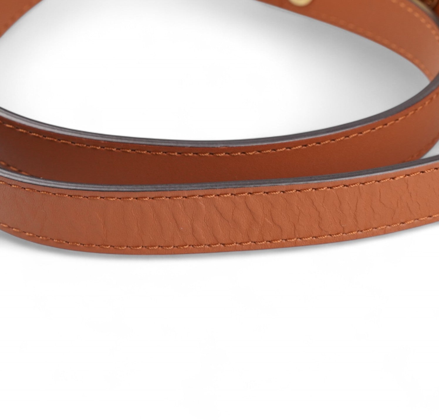 Dauphine MM Monogram