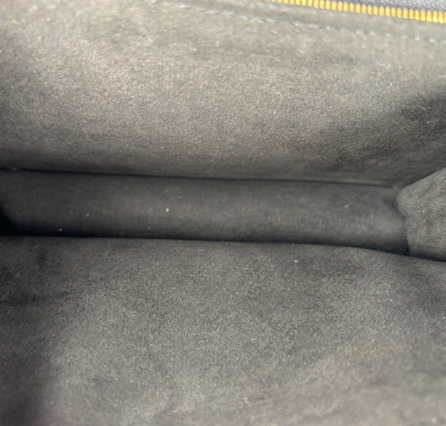 Dauphine MM Monogram