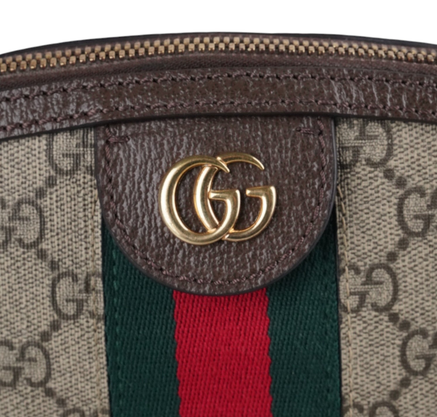 Ophidia_Gucci423424238_8dcad990-57ad-476c-8b60-8ffcfa6e6e9e.jpg